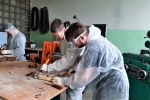 В Краснодарском крае начался региональный этап мероприятий Всероссийского чемпионатного движения по профессиональному мастерству