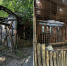 Зоопарк деградирует - 24Krasnodar.Ru