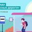 Ученики кубанских школ могут принять участие во Всероссийской онлайн-олимпиаде «Безопасные дороги» - Департамент информационной политики
