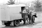 Краснодар и Сочи до конца года получат средства на строительство вытрезвителей