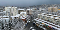 Фото: Ирина Сизова - НИА-Кубань