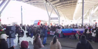 В Сочи на отдых прибыли 500 семей из ДНР и ЛНР - Кубанские Новости