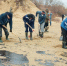 В уборке мазута с пляжей Анапы участвуют более 600 волонтеров - Комсомольская Правда
