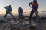 Фото предоставлено пресс-службой администрации Краснодарского края