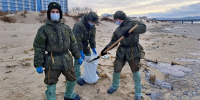 Более 9 км береговой линии 19 декабря очищено от мазута в Краснодарском крае - Кубанские Новости