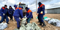 На Кубани собрали больше 3 тысяч тонн загрязненного мазутом песка - Комсомольская Правда