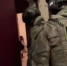 Фото: скриншот «Первый канал» - ТК Краснодар