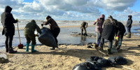 WB поддержит ликвидацию последствий разлива мазута - Газета Краснодарские известия