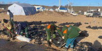 Более 45 га парка «Анапская пересыпь» покрыты мазутом - Газета Кубань Сегодня