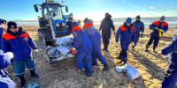 Место крушения танкеров обследовали специалисты Морской спасательной службы - Югополис
