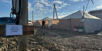 В Темрюкском районе предоставили здание для спасения птиц - Газета Краснодарские известия