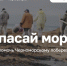 Фото: spasaimore.ru - ТК Краснодар