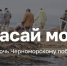 «Спасай море»: на Кубани запустили единый информационный портал помощи Черноморскому побережью - Кубанские Новости