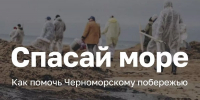 «Спасай море»: на Кубани запустили единый информационный портал помощи Черноморскому побережью - Кубанские Новости