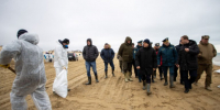 Роспотребнадзор: пробы воздуха и воды на побережье Черного моря соответствуют нормам - LiveKuban.Ru