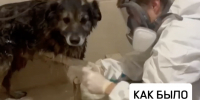 Фото: Оперативный штаб Краснодарского края - ТК Краснодар