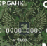 Фото: пресс-служба Сбера - НИА-Кубань