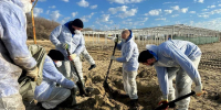 Более 250 активистов «Молодой Гвардии Единой России» участвуют в ликвидации последствий разлива нефтепродуктов в Краснодарском крае - Молодая Гвардия
