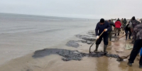 В Анапе зафиксировали повторный выброс мазута - Газета Кубань Сегодня