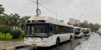 В Рождественскую ночь в Сочи продлят работу общественного транспорта - Комсомольская Правда