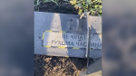 На Кубани упавший в поле украинский беспилотник сняли на видео