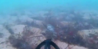 Появились снятые подводным беспилотным аппаратом кадры морского дна у Бугазской косы под Анапой - Кубанские Новости