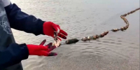 Ученый из Сколтеха показал, как обманчива визуально чистая морская вода в Анапе - Югополис