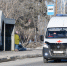 В Сочи сорвавшиеся с цепи собаки сильно изувечили 9-летнего мальчика - LiveKuban.Ru