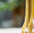 Подорожают импортные макароны Barilla - Югополис