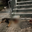 Фото: t.me/krasnodar_chp23 - ТК Краснодар