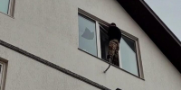В анапской больнице пациент внезапно взбесился и начал крушить всё вокруг - LiveKuban.Ru
