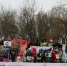 Спасти дворняжек - 24Krasnodar.Ru