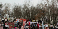 Спасти дворняжек - 24Krasnodar.Ru
