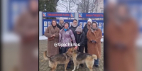 Фото: t.me/tipichkras - ТК Краснодар