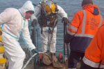 Водолазы совершили 127 погружений к затонувшим частям танкеров «Волгонефть-212» и «Волгонефть-239»