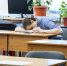 Врач рассказала, на что указывают упадок сил и быстрая утомляемость - LiveKuban.Ru