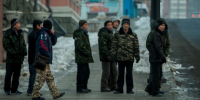 "Промедление – смерть детей": в ГД требуют срочных мер по закону о животных - KrasnodarMedia