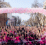 В Международный женский день в Краснодаре состоится забег в юбках Beauty Run - Администрация города Краснодар