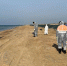 Новые выбросы мазута из моря зафиксированы в Анапе - LiveKuban.Ru