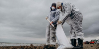 Еще три способа очистки песка от мазута протестируют в Анапе - Газета Краснодарские известия