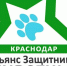 В Краснодаре пройдет пикет против жестокого обращения с животными - Комсомольская Правда