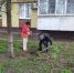 Марафон чистоты организовали в Краснодаре - Югополис