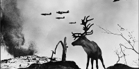В КРАСНОДАРЕ ОТКРОЕТСЯ ВЫСТАВКА РАБОТ ФОТОГРАФА ПОБЕДЫ ЕВГЕНИЯ ХАЛДЕЯ - Министерство культуры