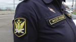 Фото: телеканал «Краснодар»
