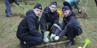 В сочинском «Дендрарии» появилась живая аллея памяти - Газета Краснодарские известия
