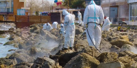 Более 1,4 тыс. мешков наполнили мазутом сотрудники МЧС на берегу у морпорта Анапы - Кубанские Новости