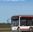 Автобус на кладбище - 24Krasnodar.Ru