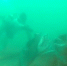 Водолазы собрали 132 мешка мазута со дна Черного моря в районе Анапы - Комсомольская Правда