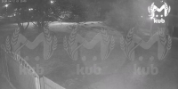 Фото: t.me/kub_mash - ТК Краснодар