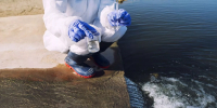 Отсутствие следов мазута в Сочи подтвердили около 3 тысяч проб морской воды - Кубанские Новости